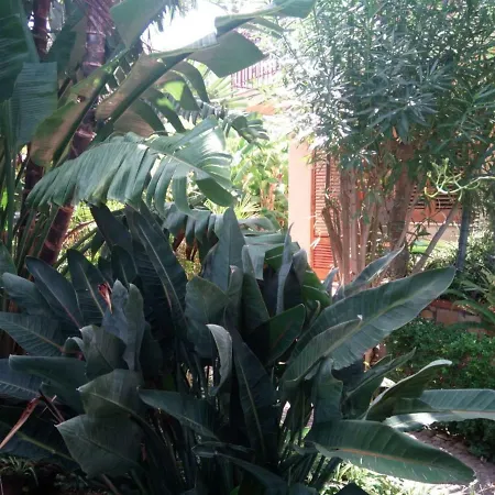 Bed & Breakfast Stanza In Con Giardino Vista Mare Cefalù