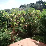 Stanza In Con Giardino Vista Mare Panzió *