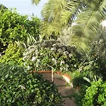 Stanza In Con Giardino Vista Mare