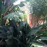 Panzió Stanza In Con Giardino Vista Mare Cefalù