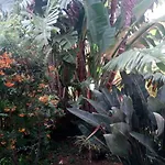 Stanza In Con Giardino Vista Mare Cefalù