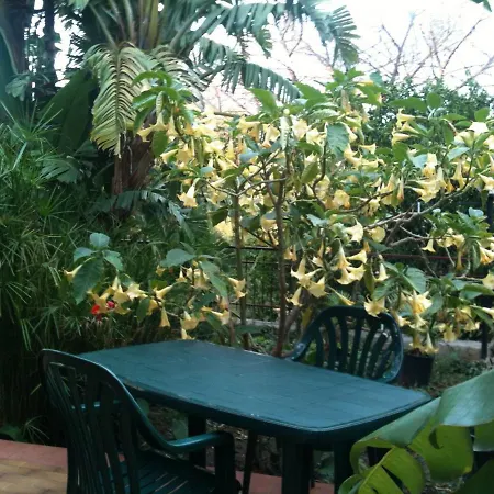 Stanza In Con Giardino Vista Mare Oda ve Kahvaltı