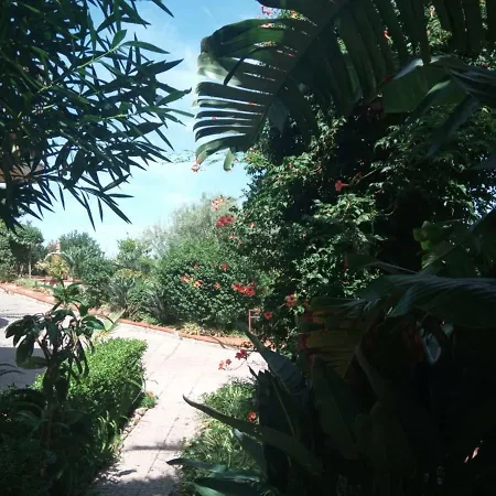 Stanza In Con Giardino Vista Mare * Cefalu